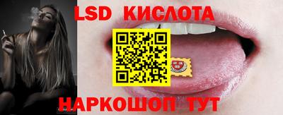 шишки Обнинск