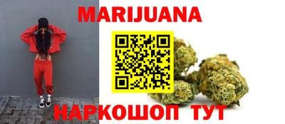 apvp Нальчик